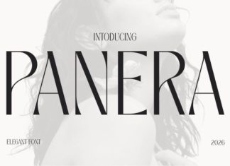 Panera Font preview image 1
