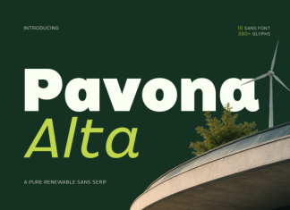 Pavona Alta – Pure Renewable Sans Font preview image 1