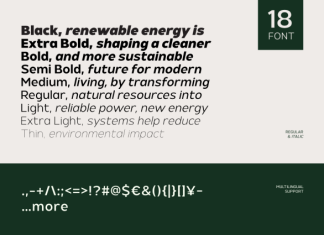 Pavona Alta – Pure Renewable Sans Font preview image 3