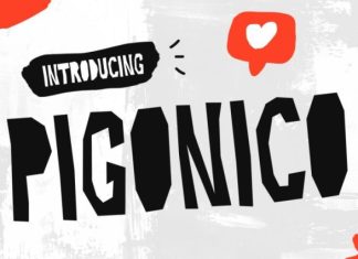 Pigonico Font preview image 1