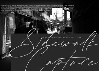 Plamstimes Font preview image 2