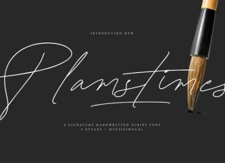 Plamstimes Font preview image 1