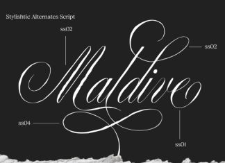 Premierre Marsiella Font preview image 2