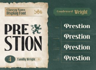 Prestion Font preview image 3