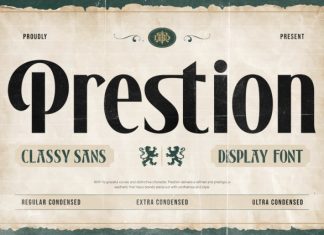 Prestion Font preview image 1