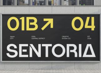Qinora Font preview image 3