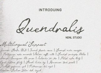 Quendralis Font preview image 1