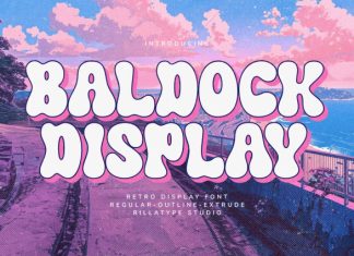 RT Baldock Display Font preview image 1