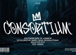 RT Consortium Font preview image 1