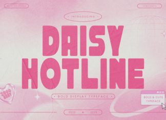 RT Daisy Hotline Font preview image 1