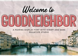 RT Goodneighbor Script Font preview image 1