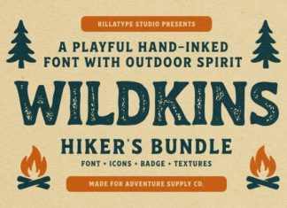 RT Wildkins Stamp Font preview image 1