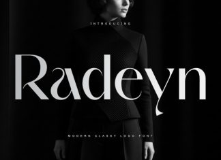 Radeyn Font preview image 1
