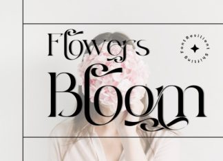Resilient Shifting Font preview image 3