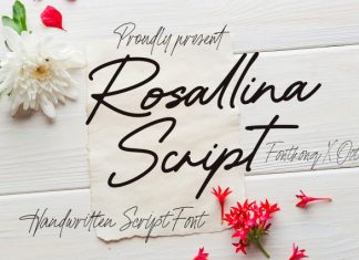 Rosallina Script Font preview image 1