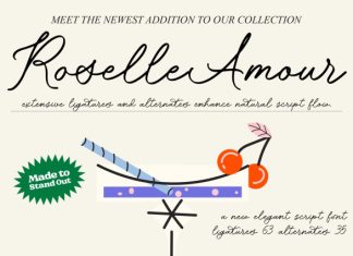 Roselle Amour Font preview image 1