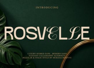 Rosvelle Font preview image 1