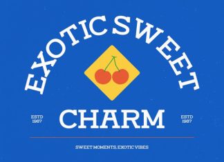 Rotter Damn Font preview image 3