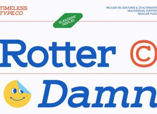 Rotter Damn Font preview image 1