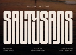 Salty Sans Font preview image 1