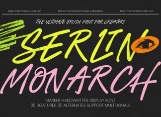 Serlin Monarch Font preview image 1