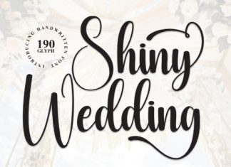 Shiny Wedding Font preview image 1