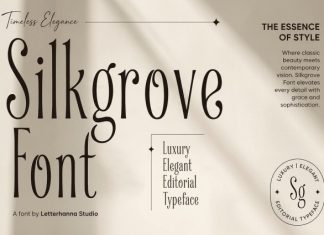 Silkgrove Font preview image 1