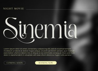 Sinvia Font preview image 1