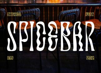 Spicebar Font preview image 1
