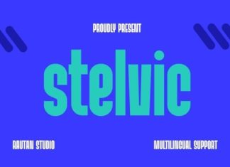 Stelvic Font preview image 1