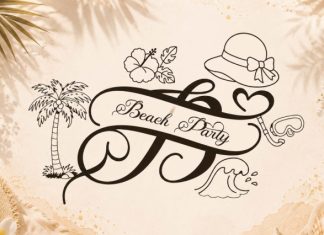 Summer Meylina Monogram Font preview image 2