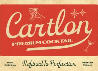 Tenford Font preview image 3