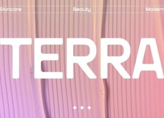 Terra Font preview image 1