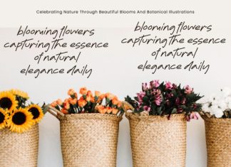 Timeless Moments Font preview image 3