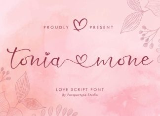 Tonia Mone Font preview image 1