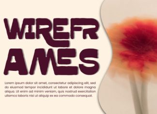 Tropical Regions Font preview image 2