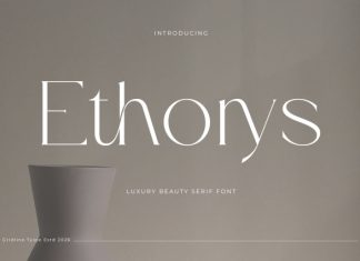 Ethorys Font preview image 1