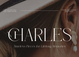 Lyte Serif Font preview image 3