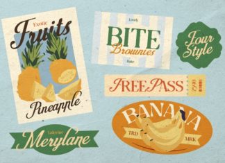 Valerine Script Font preview image 3