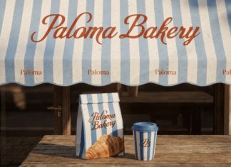 Valerine Script Font preview image 2