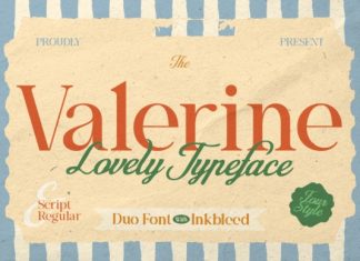Valerine Script Font preview image 1