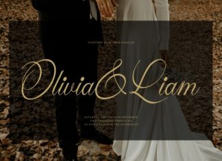 Valeysoul Font preview image 3