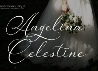 Van Marigella Font preview image 3