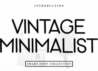 Vintage Minimalist Font preview image 1