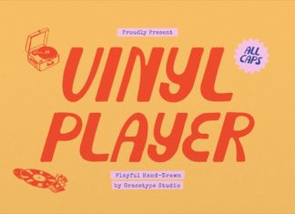 Vinyl Player Font preview image 1
