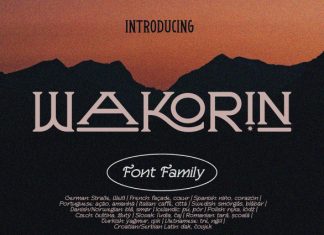 Wakorin Font preview image 1