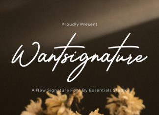 Wantsignature Font preview image 1