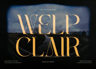 Welp Clair Font preview image 1