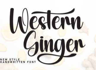 Western Ginger Font preview image 1