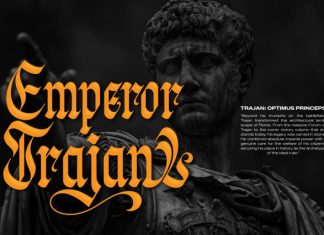 Wielgard Font preview image 2